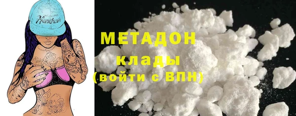 сатива Новозыбков