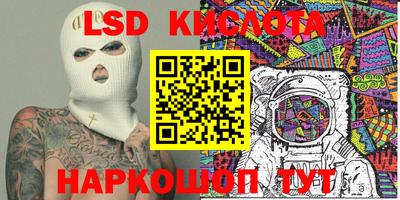 индика Гатчина