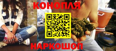 дживик Гай