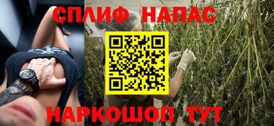 дживик Гай