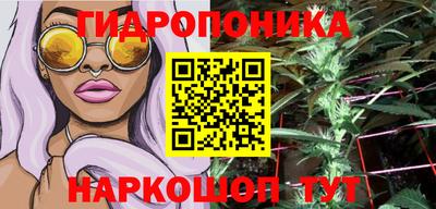 индика Гатчина