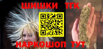индика Гатчина