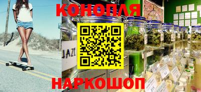 индика Гатчина
