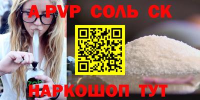 индика Гатчина
