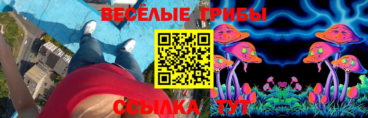 Галлюциногенные грибы мухоморы Миасс